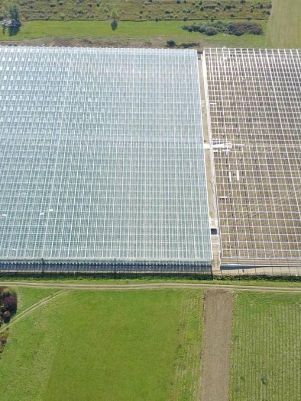 Expert opinions: valuation of a greenhouse for hydroponic tomato growing, Sveta Nedelja